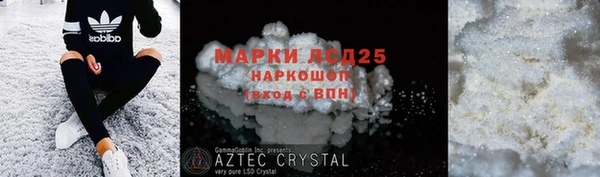 прущие грибы Аркадак