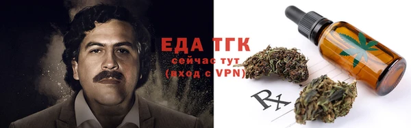 прущие грибы Аркадак