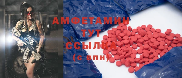 прущие грибы Аркадак