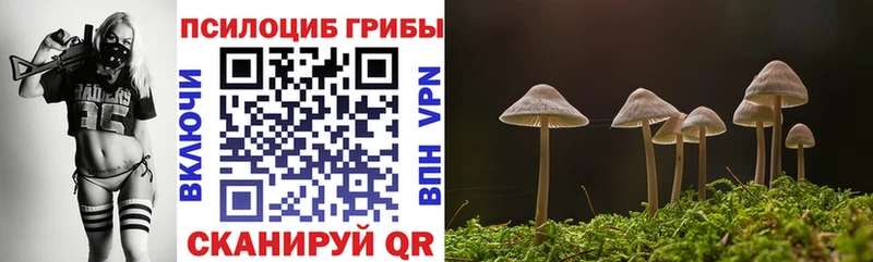 Галлюциногенные грибы GOLDEN TEACHER Ессентуки